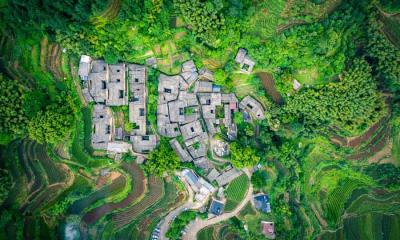 茶歇时光  |  杨家塘村茶园，松阳县，中国 (© feng xu/Getty Images) - 2025/05/21