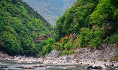 山间奔驰  |  沿着岚山保津川行驶的火车，京都，日本 (© Alvin Huang/Getty Images) - 2025/05/26