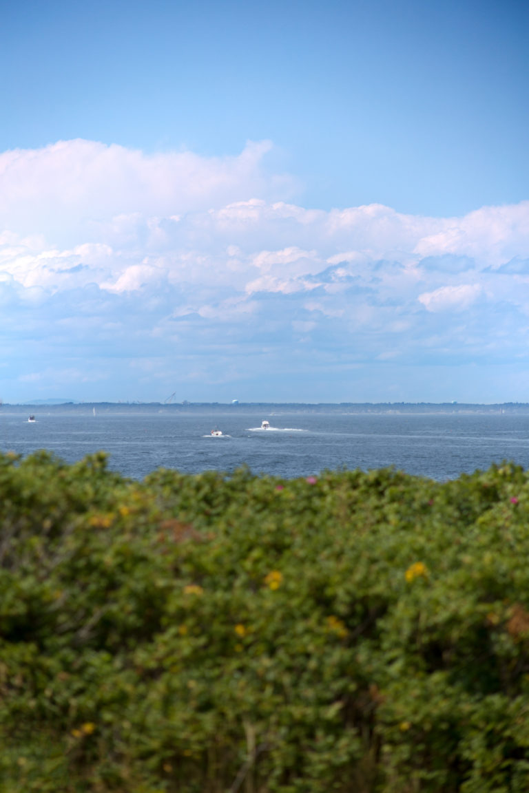 Boats on the Ocean