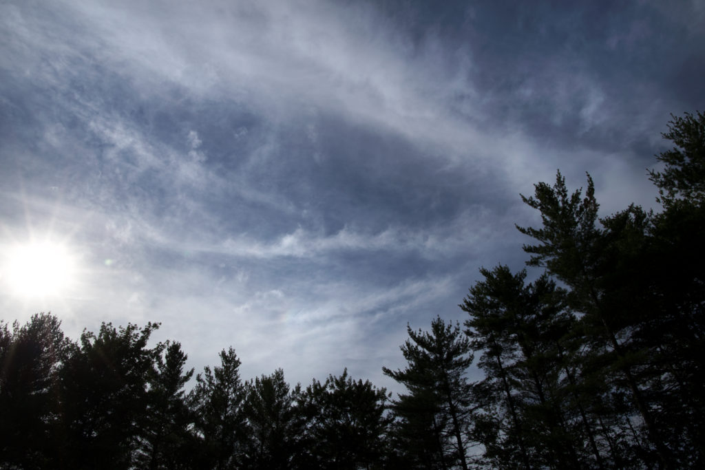 Tree Silhouettes and Wispy Clouds