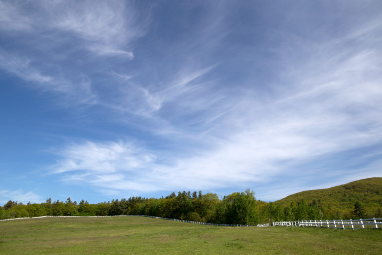 Fenced in Pasture