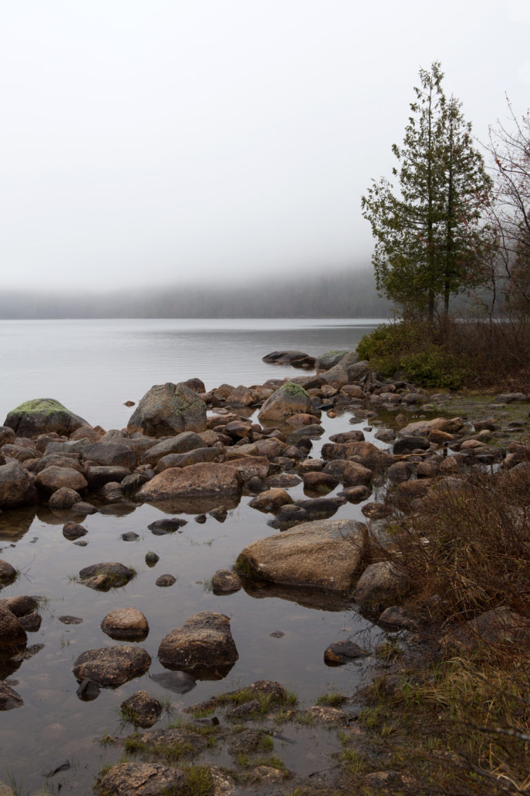 Rocky Lakeshore in the Fog