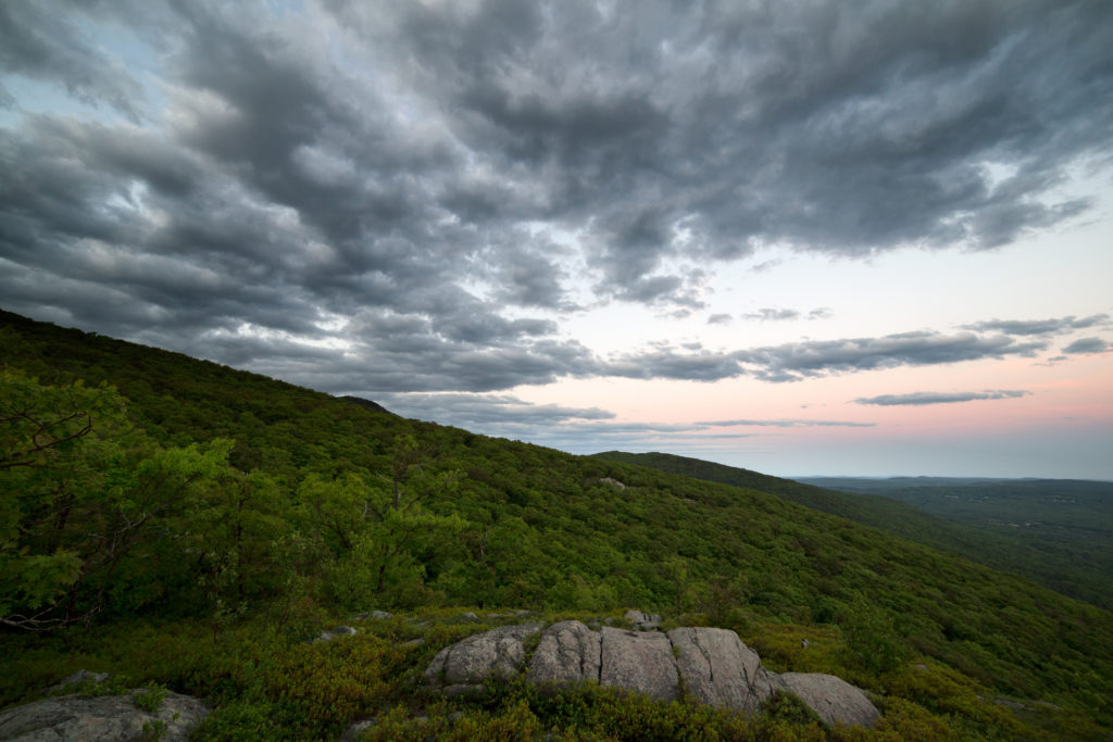 Cloudy Summer Evening