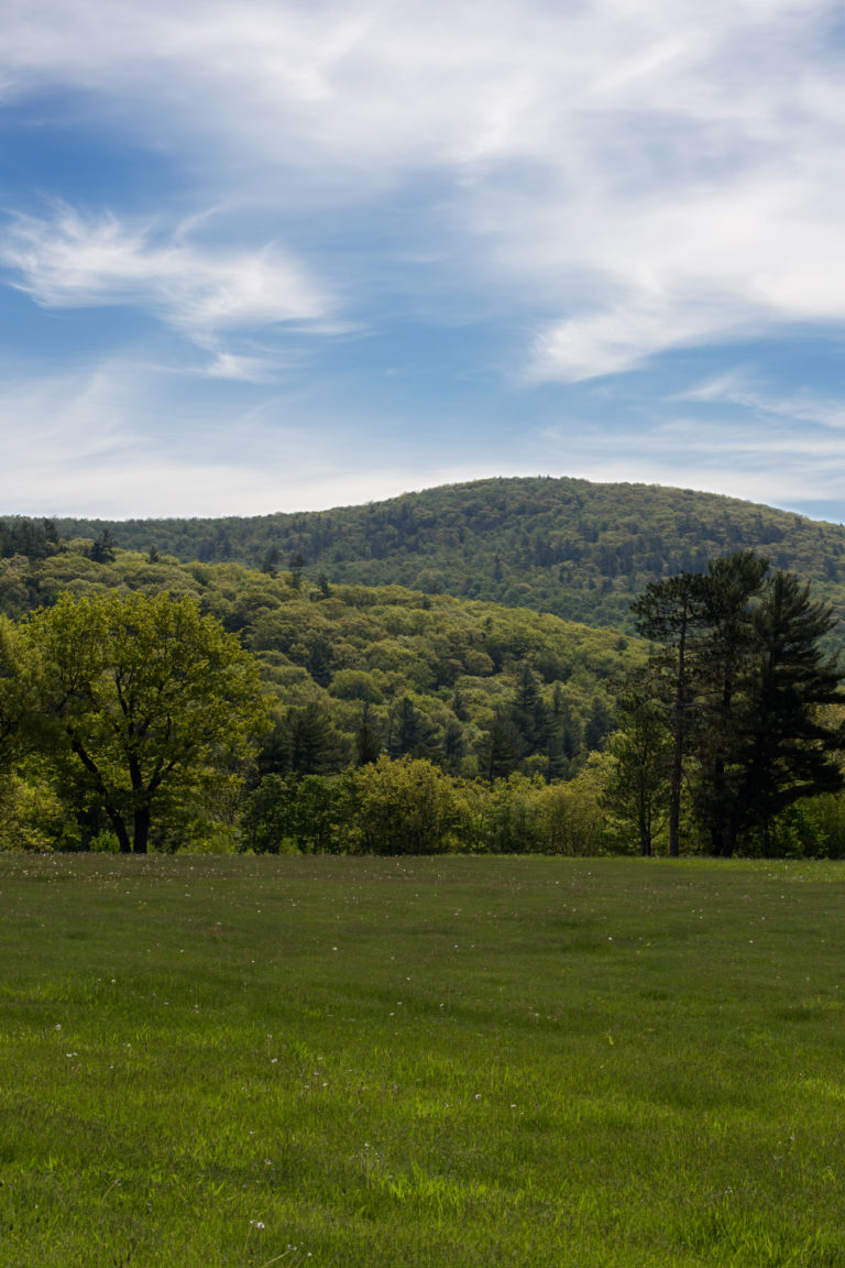 Summer Field and Rolling Hills