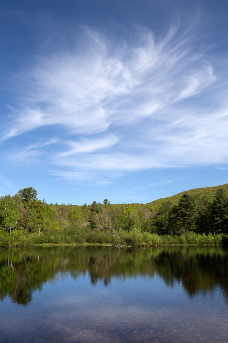 Pond Reflections