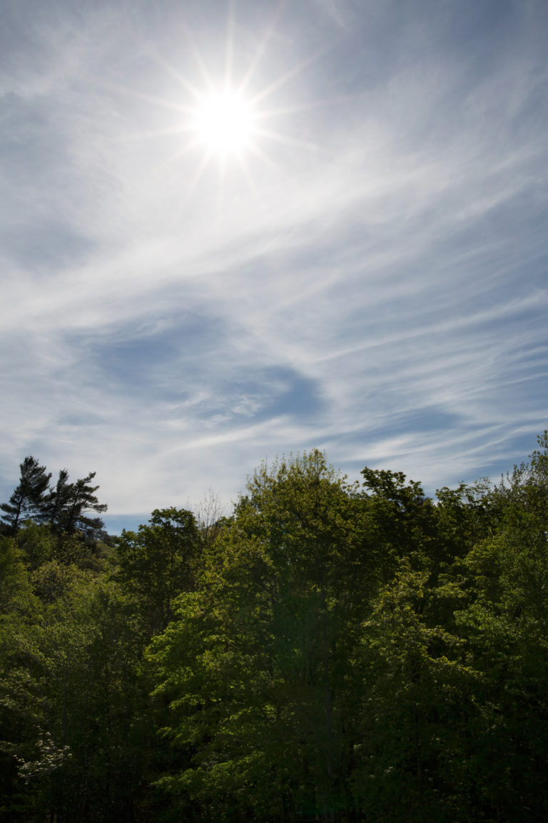 Bright Sun Over Green Trees