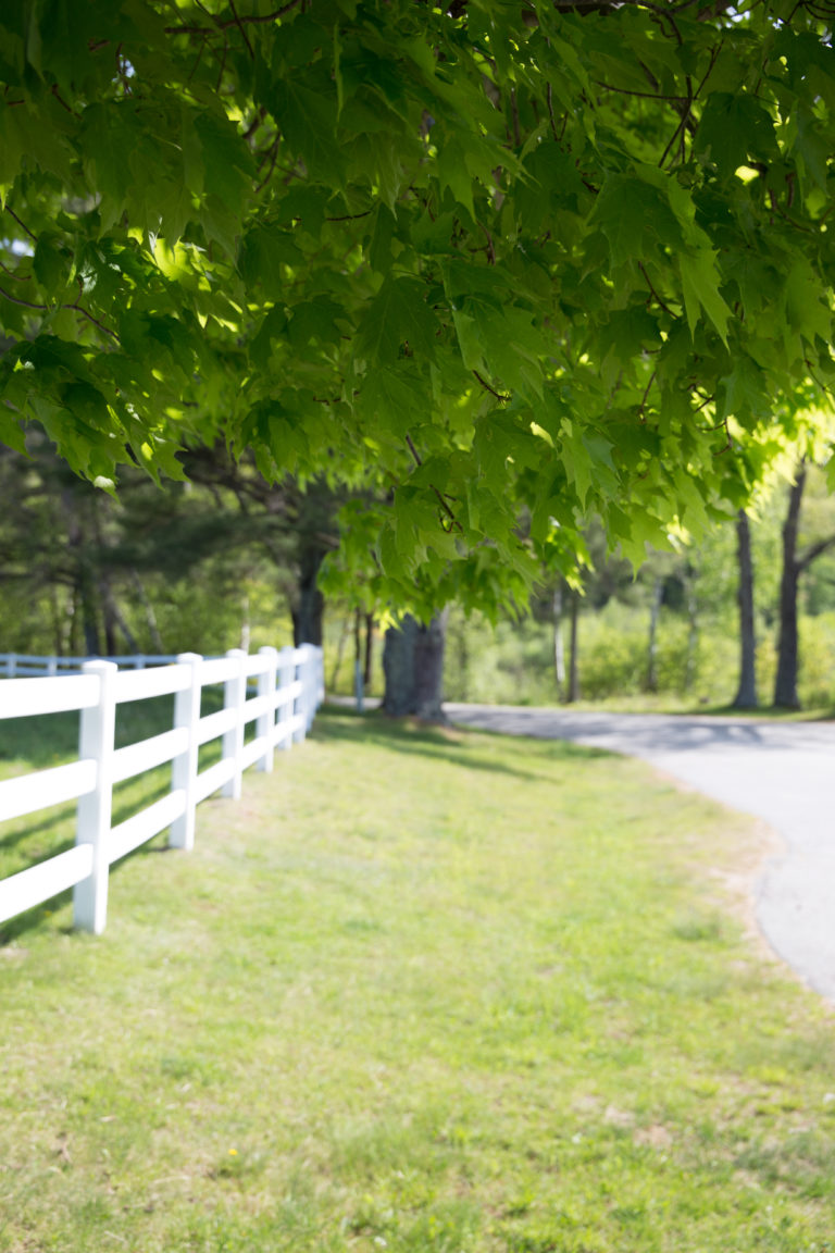 White Fence Along a Country Road