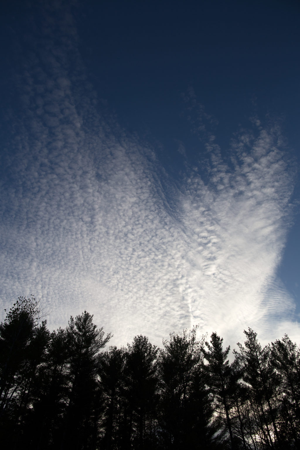 Veil of Clouds Across the Sky