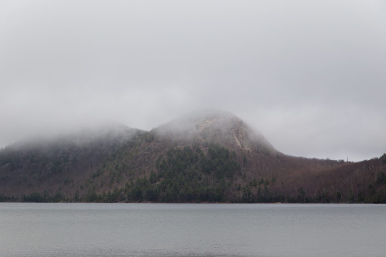 Rain and Fog Over Pond