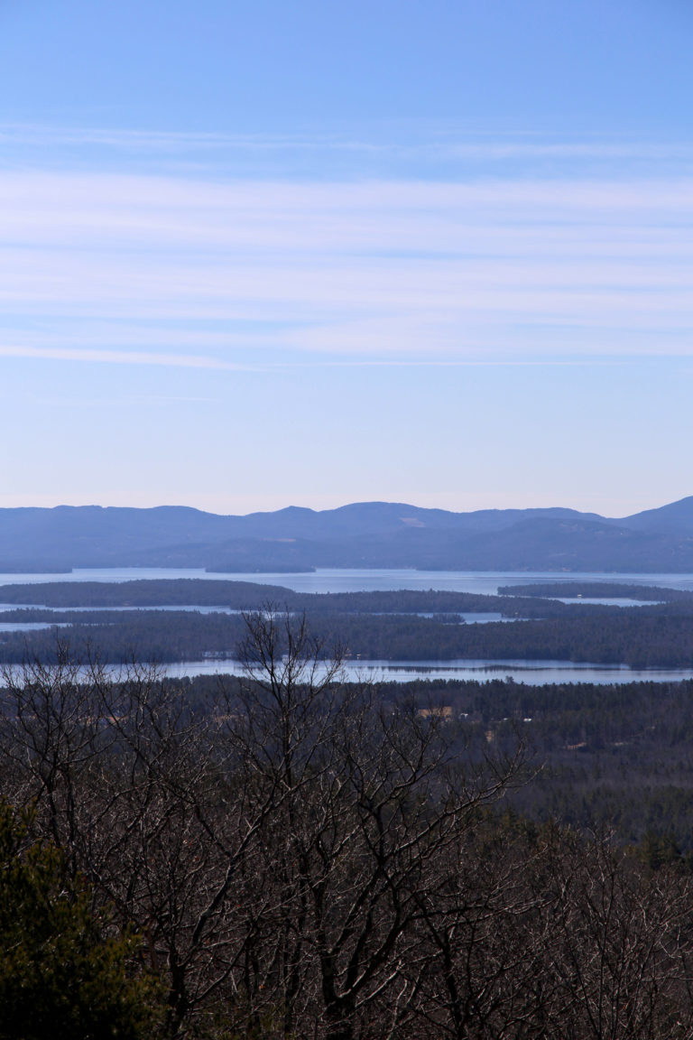 Bare Treetop Mountaintop Views