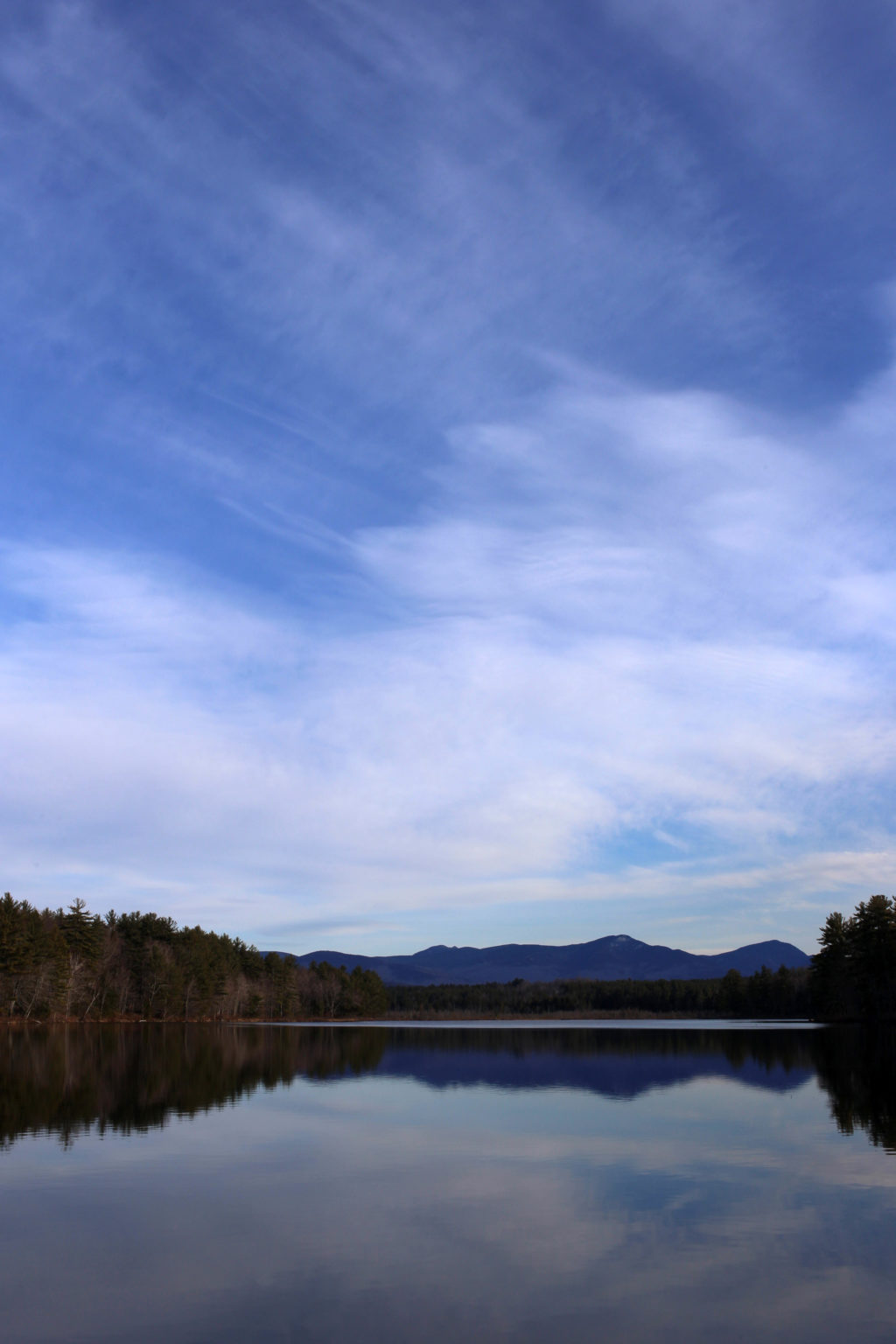 Wispy Clouds Reflected in Still Pond