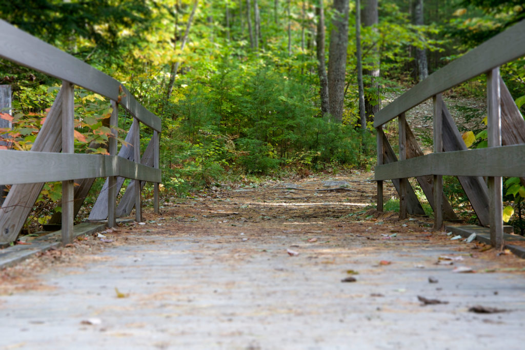 Wooden Bridge Through the Woods