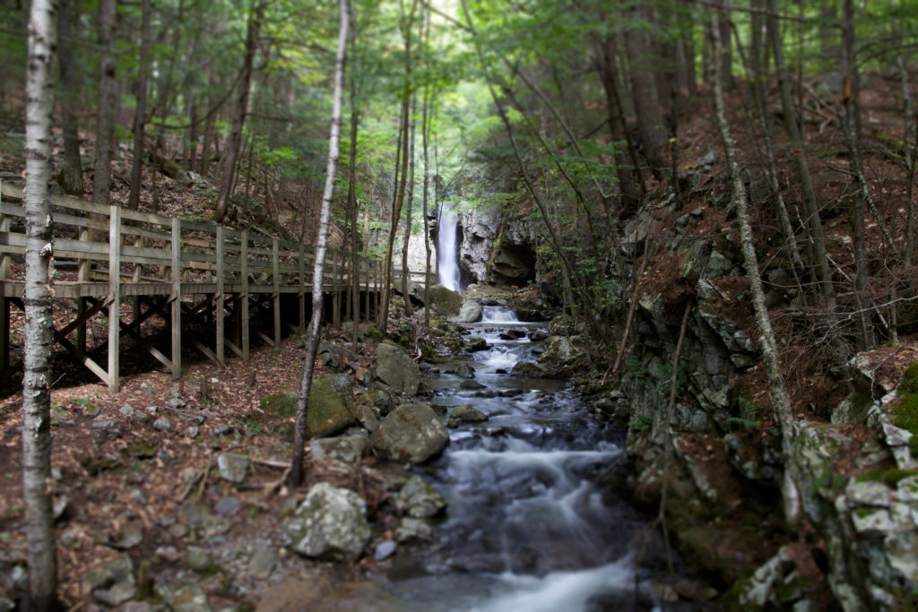 Elevated Walkway Along a Stream