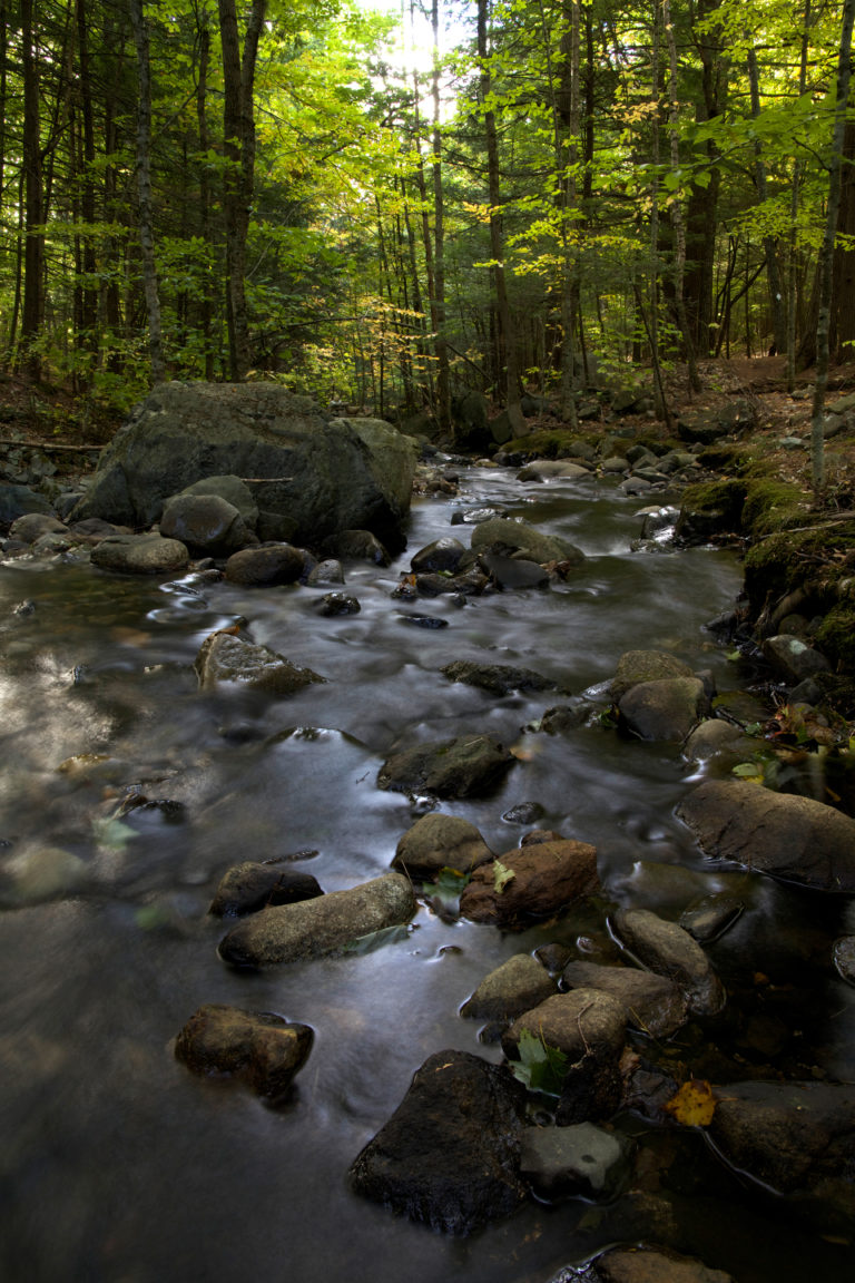 Peaceful Stream