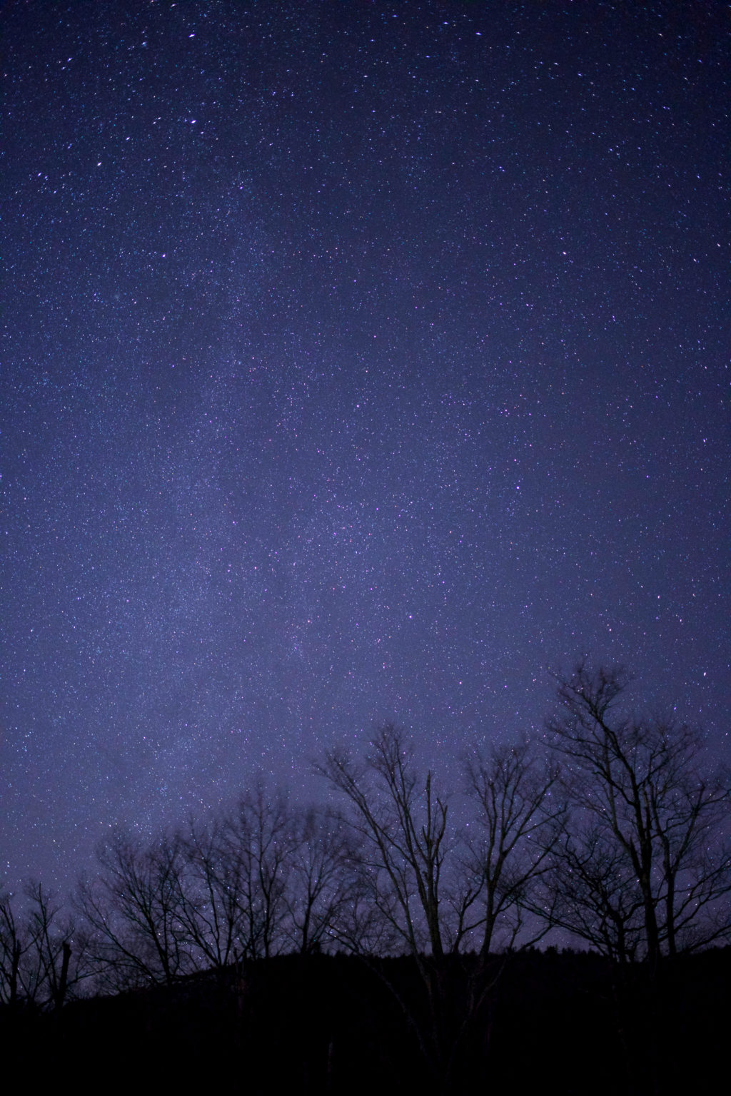 Under a Winter Sky