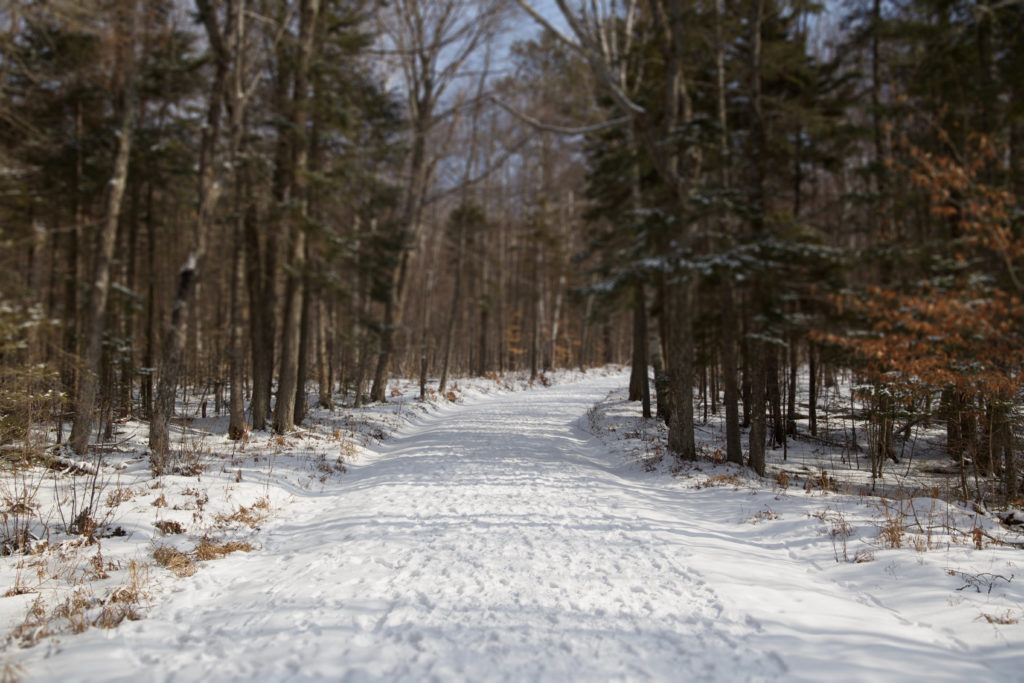 Packed Snow on Wide Path