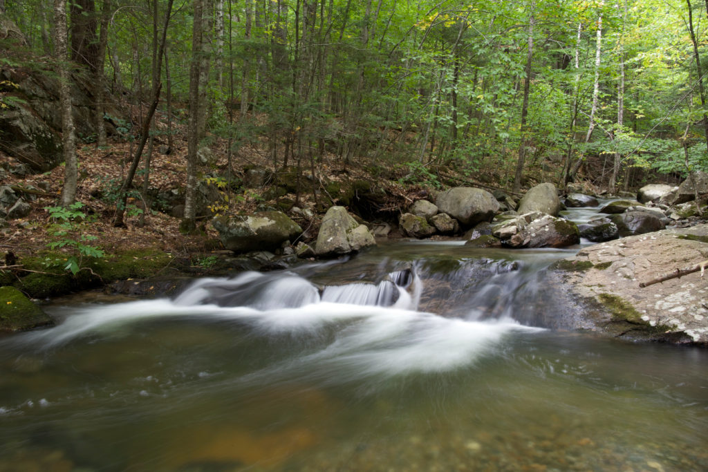 Rapids in the Stream