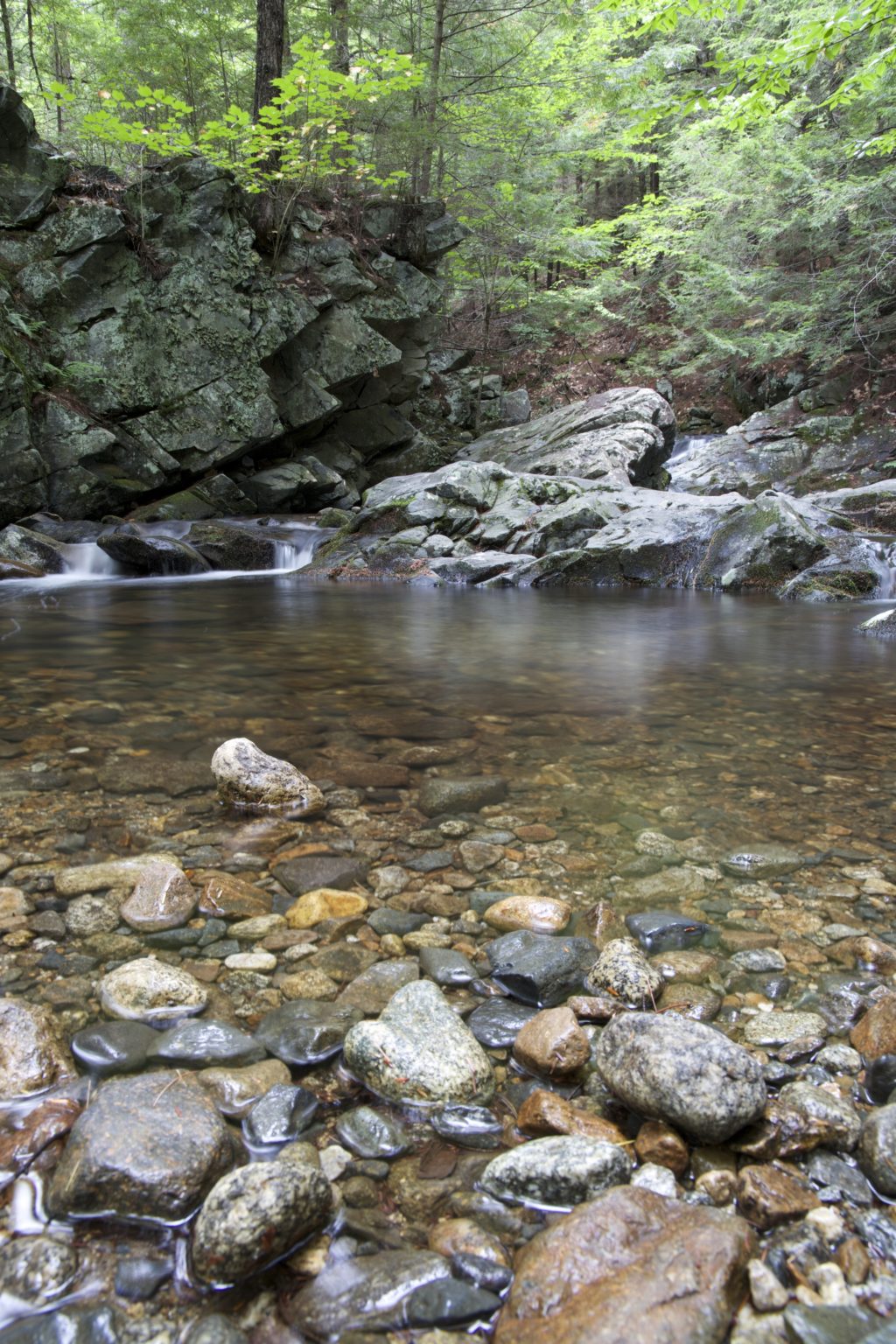 Peaceful Pool