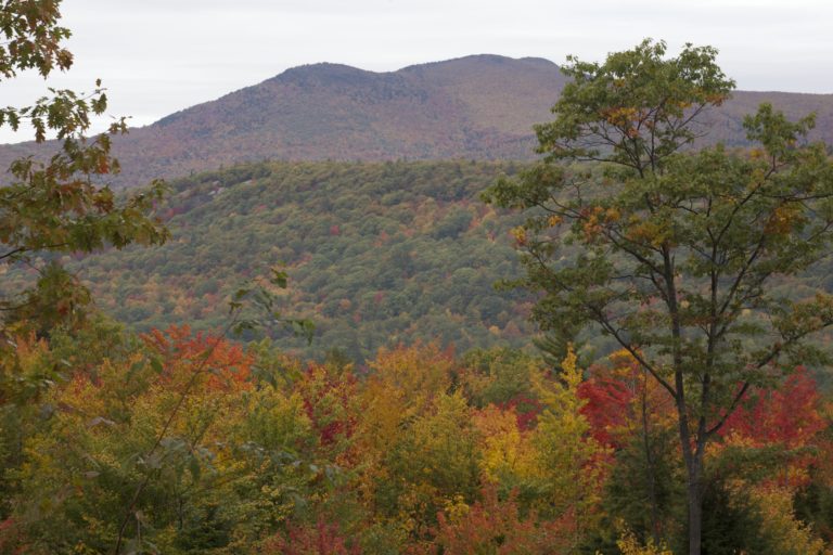 Autumn Mountain Scene