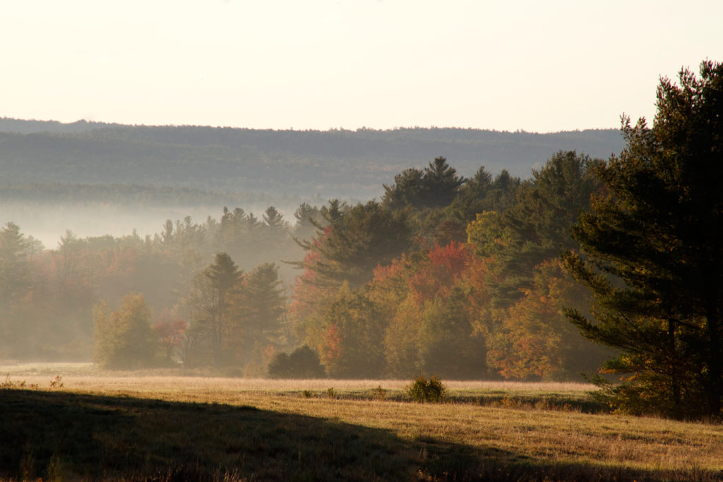 Foggy Fall Sunrise