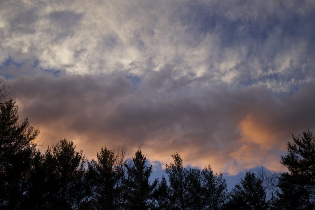 Soft Sunlit Clouds Over Tree Silhouettes