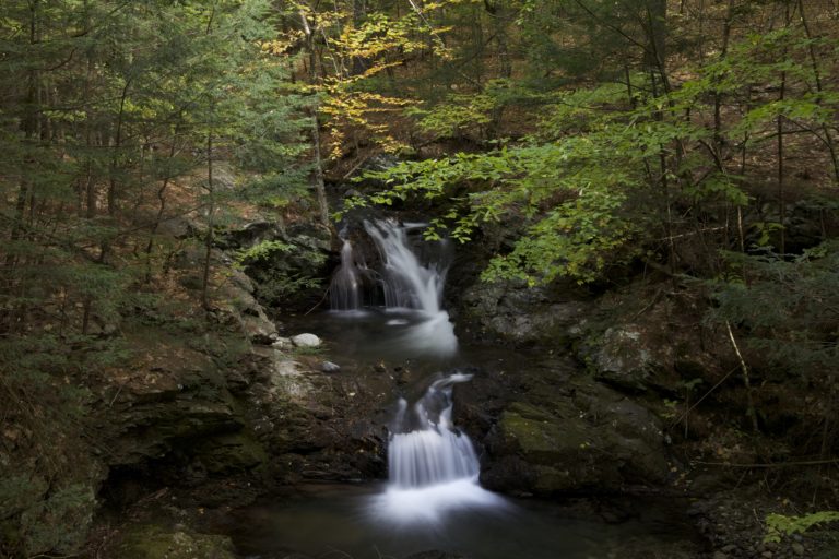 Waterfall Tucked In Amongst Trees