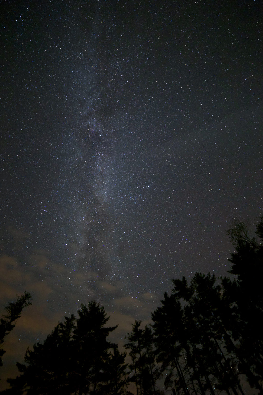 Dark Night Sky Over Trees