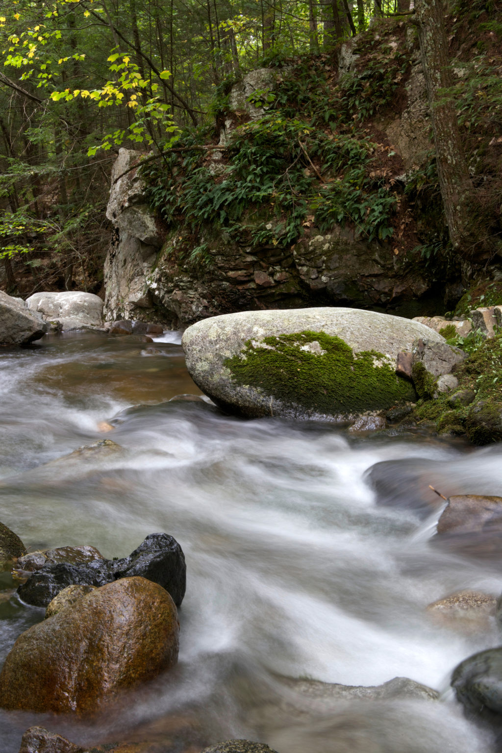 Rushing River