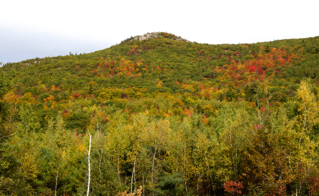 Early Fall Morning