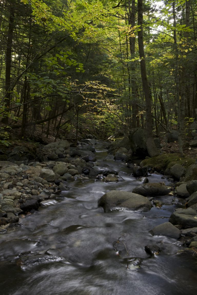 Peaceful Babbling Brook