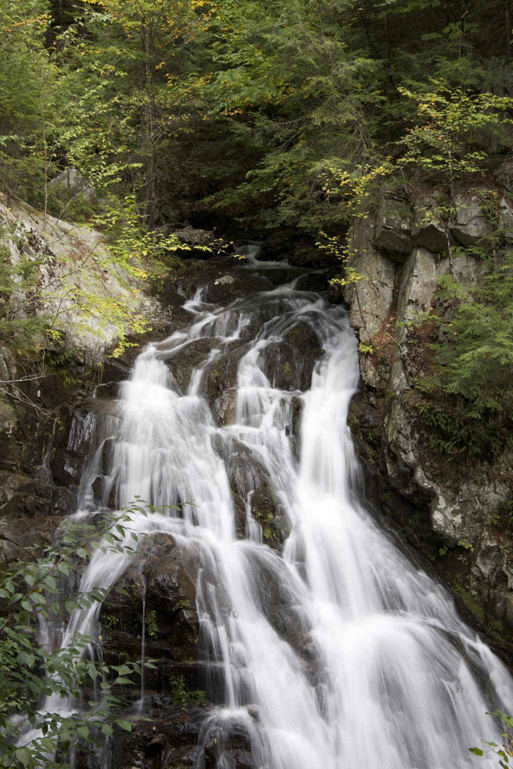 Trickling Waterfall in the Forest