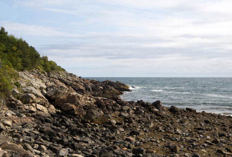 Rocky Coast