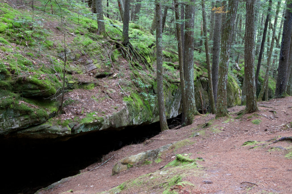 Deep Rock Crevice in the Forest