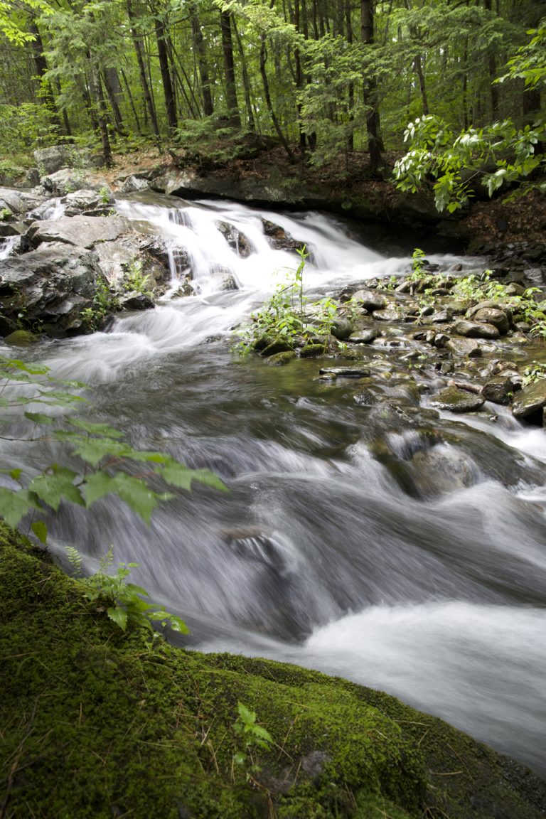 Rushing Twisting Stream