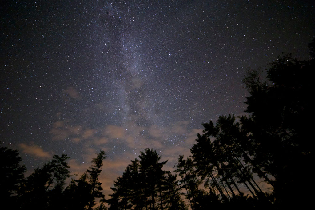 Looking Up on Warm Summer Night