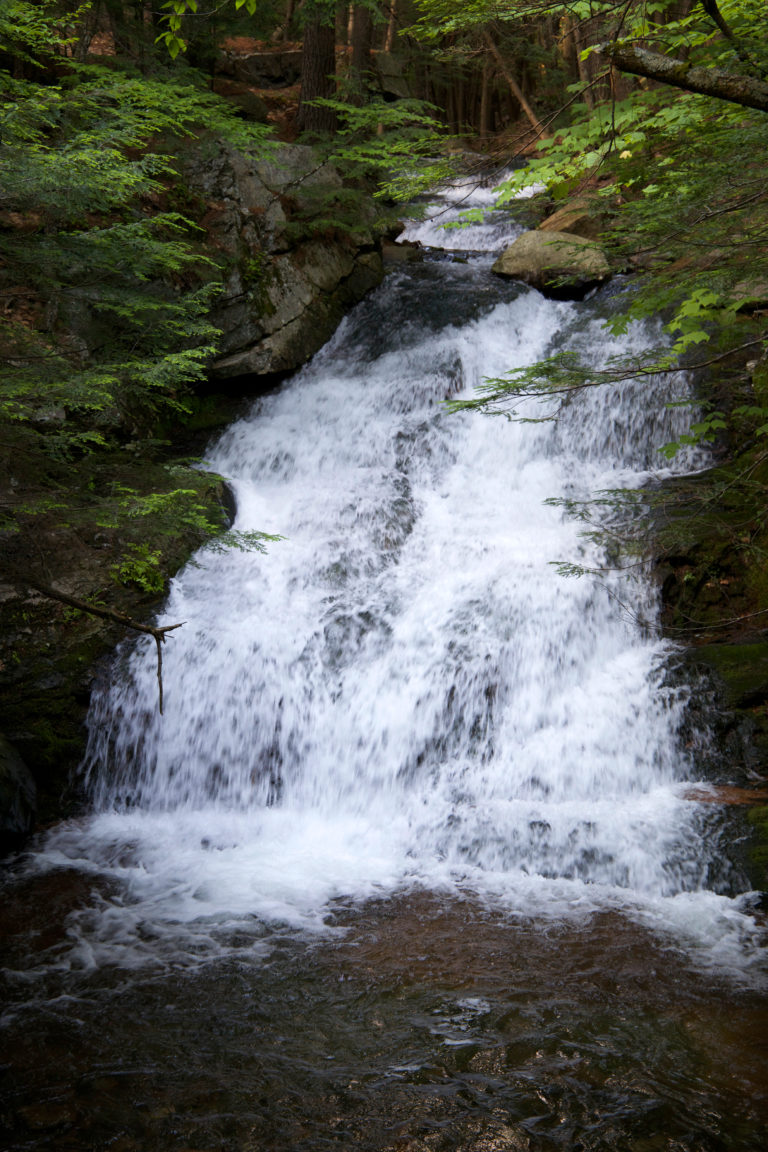 Lush Waterfall