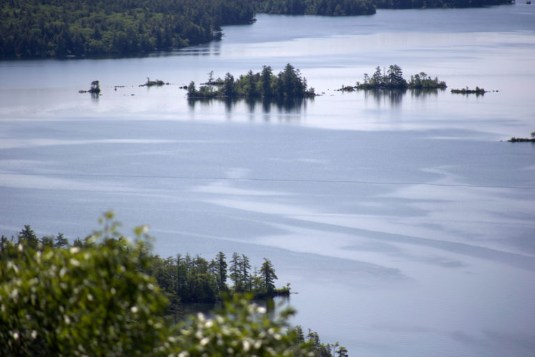 Tiny Islands on the Lake