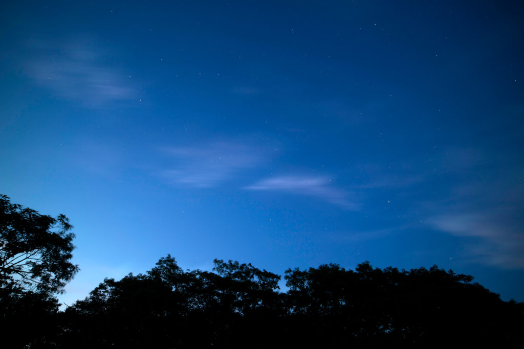 Twilight in the Backyard