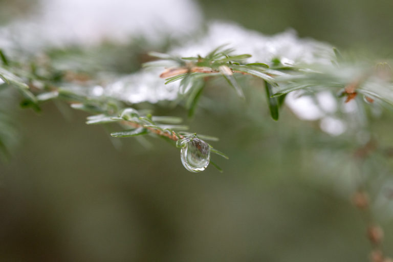 Melting Snow