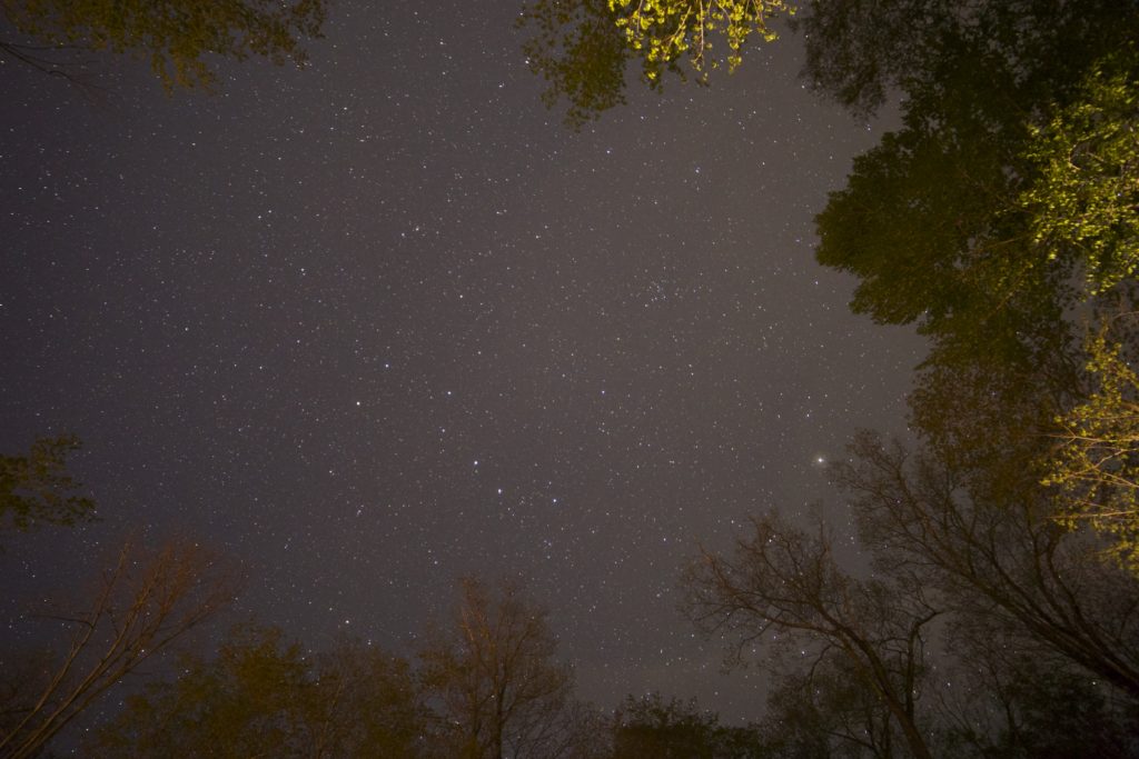 Looking Up at the Night Sky