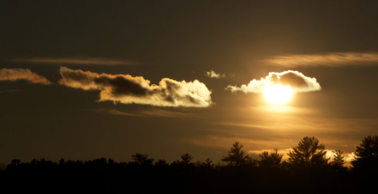 Cloud and Tree Silhouettes