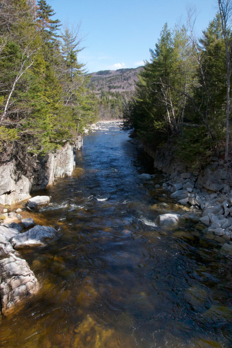 Wide Rocky River Through the Woods