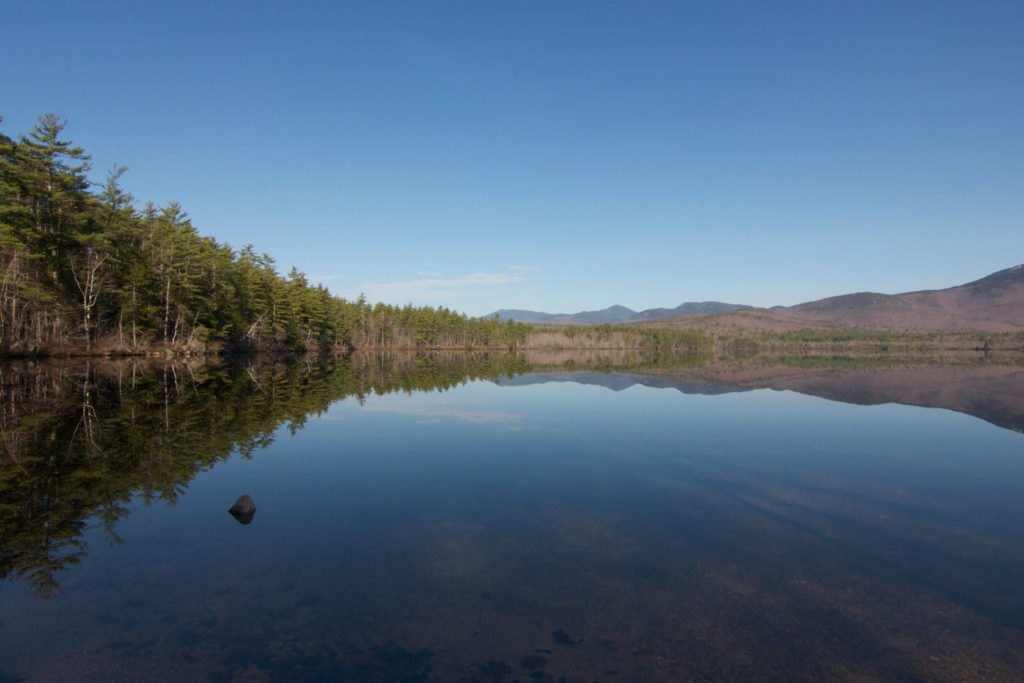 Still Lake Reflection