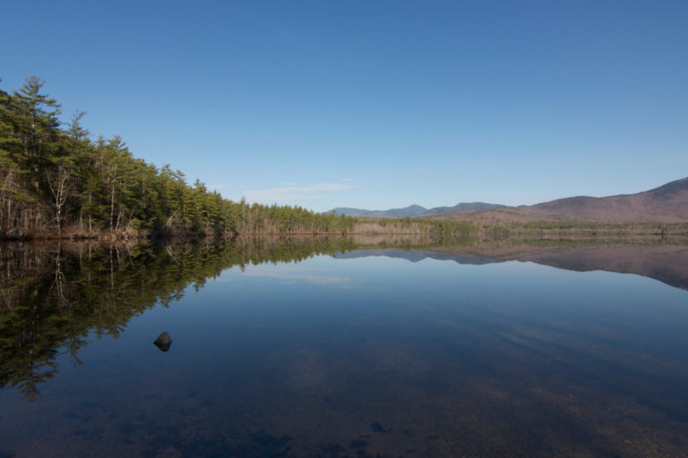 Still Lake Reflection