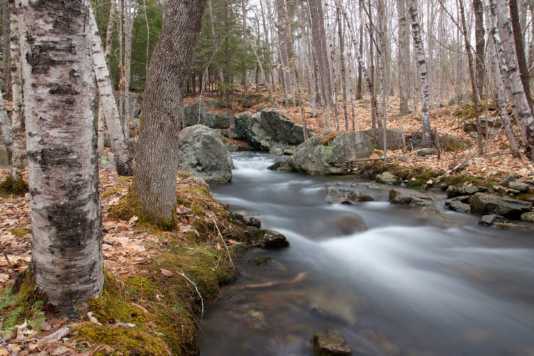 Fall Rushing Stream