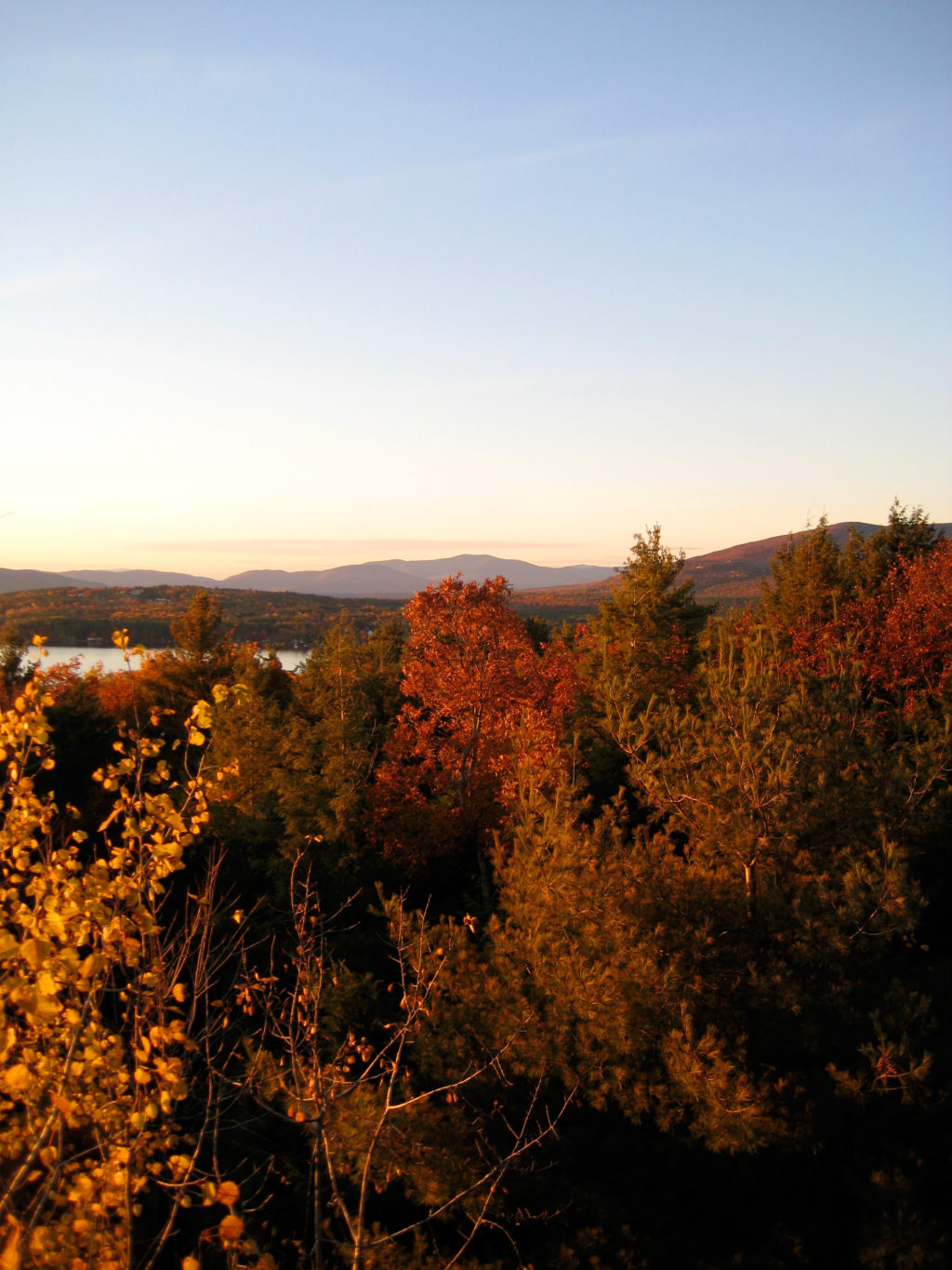 A Mix of Color in Nature