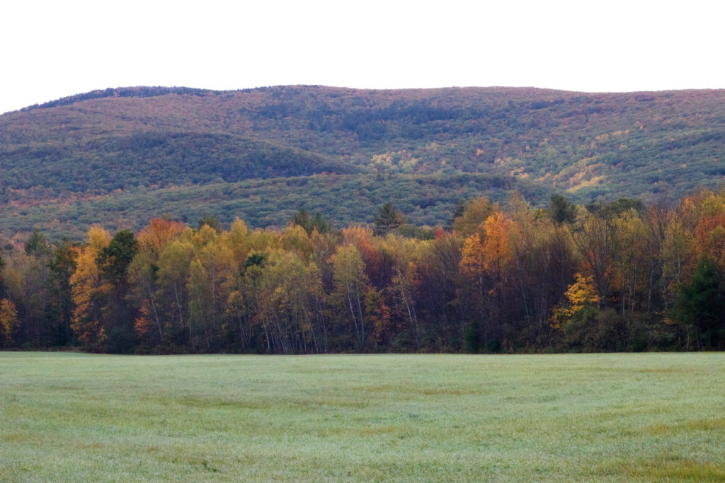 Rugged Autumn Scene