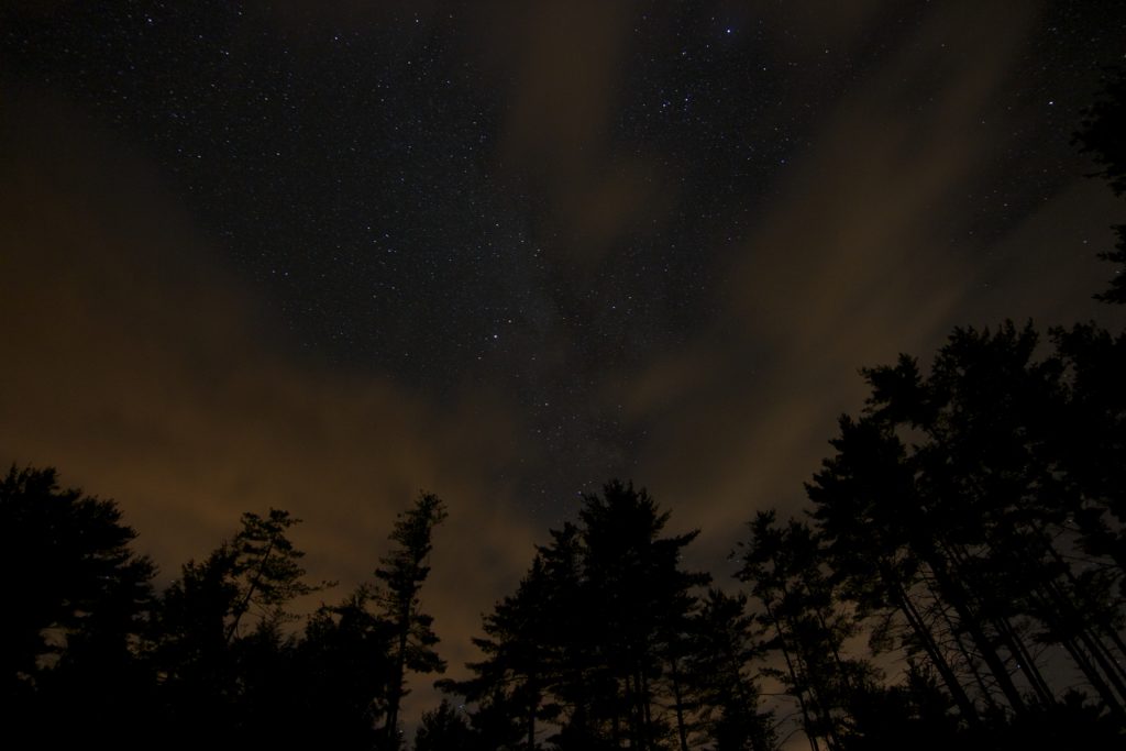 Dark Night Sky, Clouds, and Trees