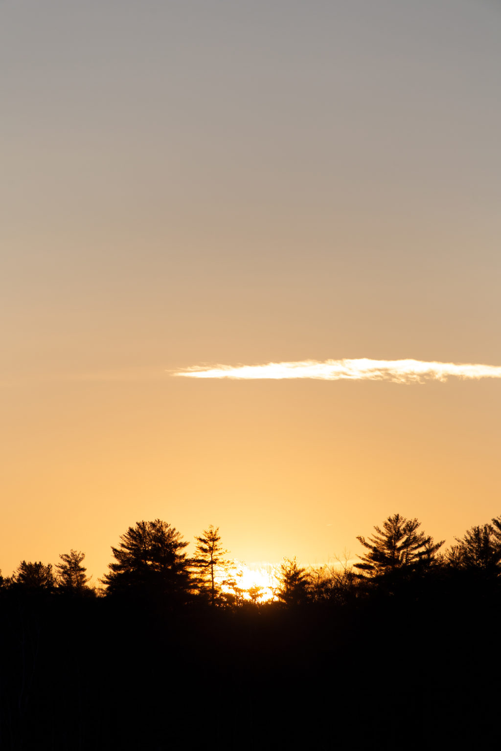 Silhouette Sunset