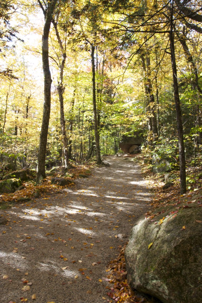 Illuminated Hiking Path